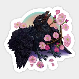 Fledgling Crow/Raven with Apple Blossoms Sticker